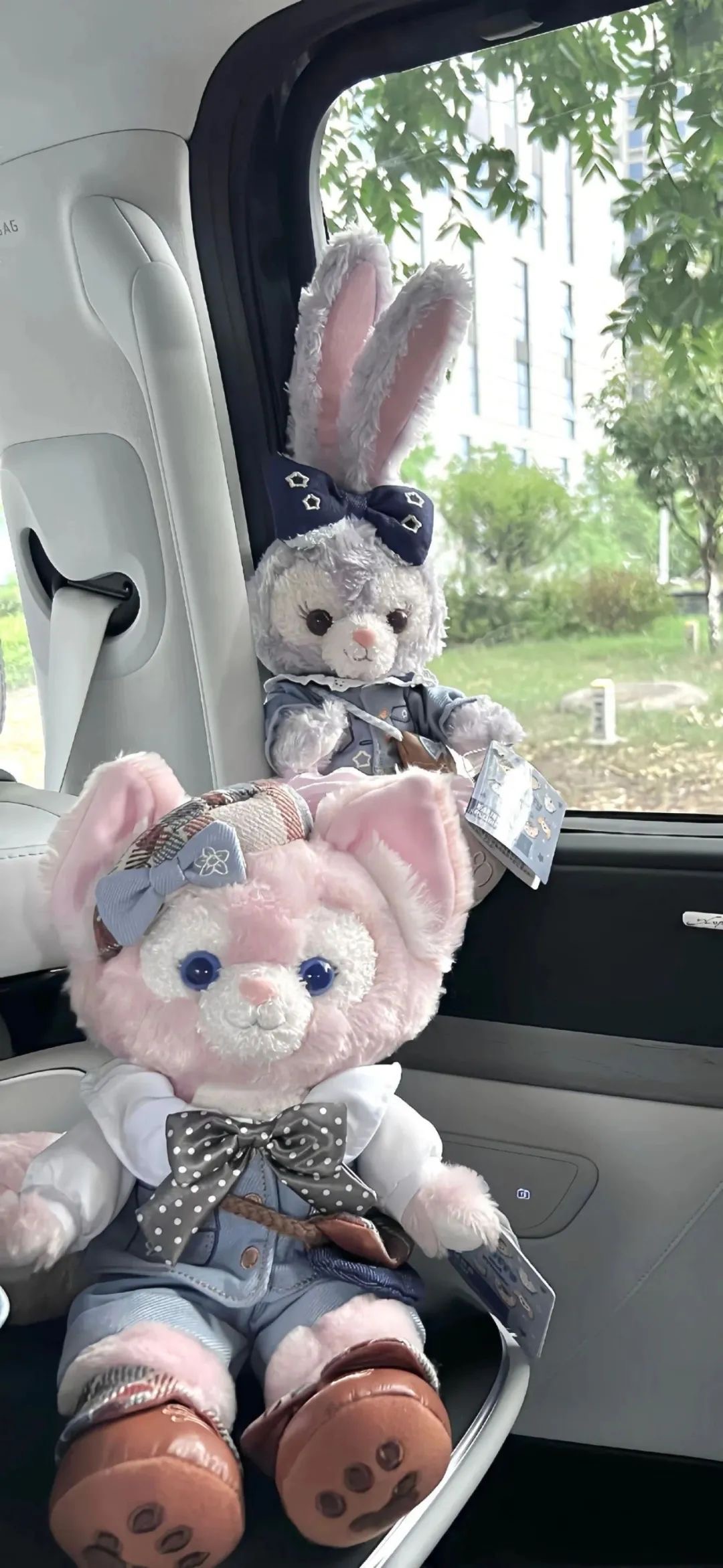 盐狗之家-专注互联网创业,信息差副业研究,拒绝割韭菜